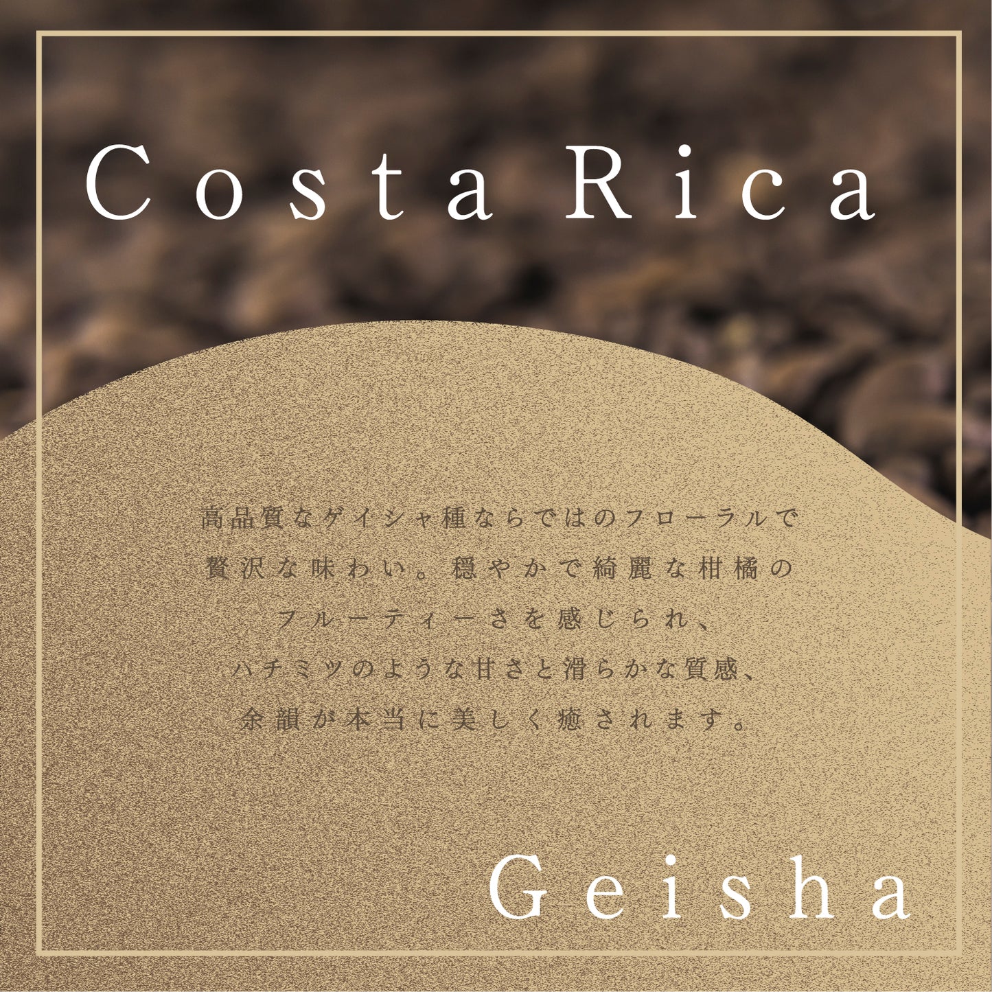 【6月予約販売】コスタリカ Yasal Geisha washed コーヒー豆100g