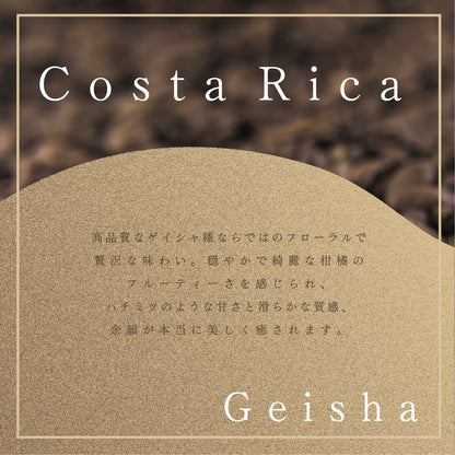【6月予約販売】コスタリカ Yasal Geisha washed コーヒー豆100g