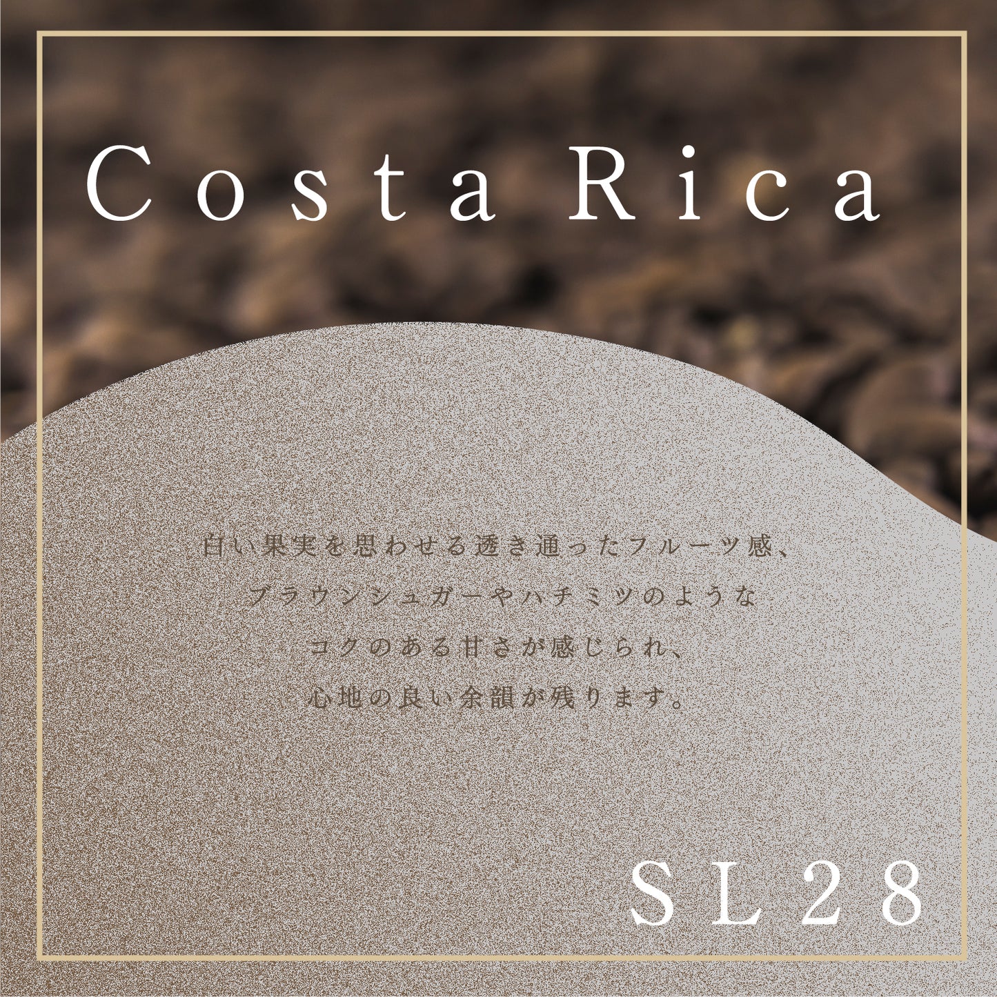 【6月予約販売】コスタリカ El Alto SL28 washed コーヒー豆100g