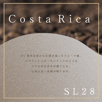 【6月予約販売】コスタリカ El Alto SL28 washed コーヒー豆100g