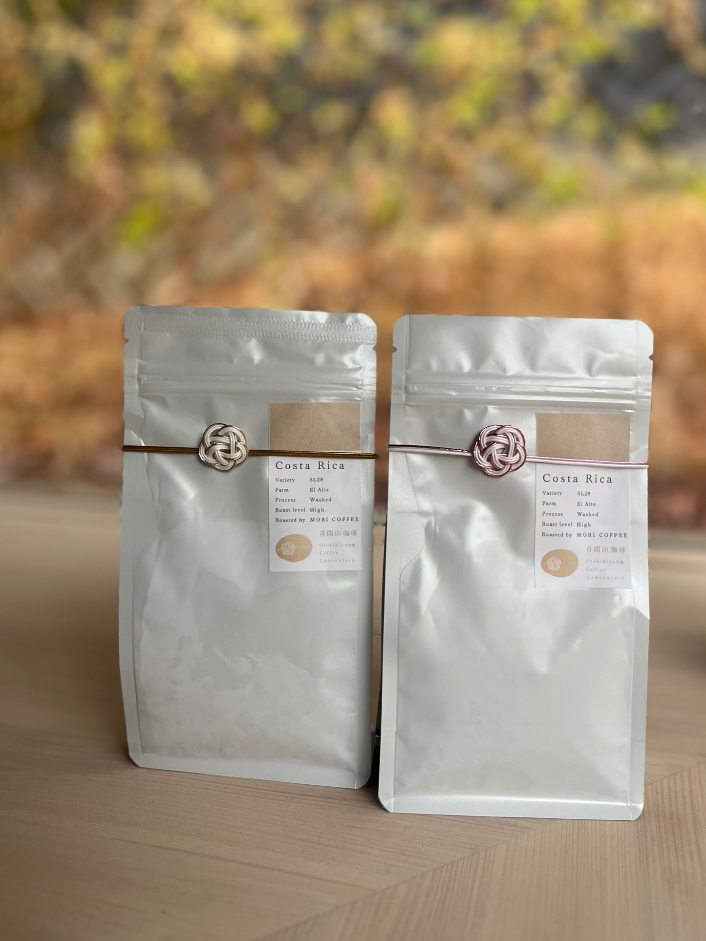 【6月予約販売】コスタリカ El Alto SL28 washed コーヒー豆100g