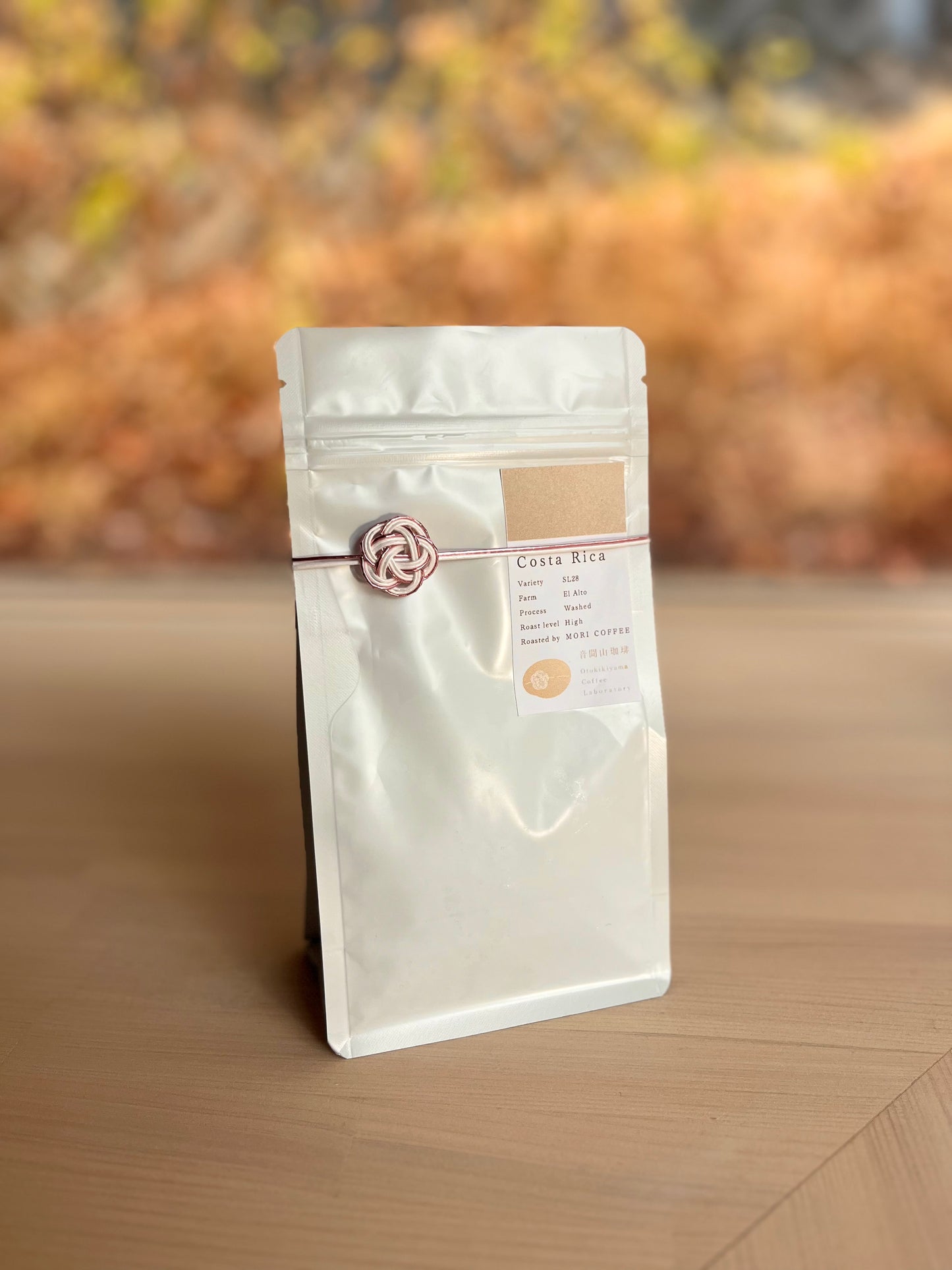 【6月予約販売】コスタリカ El Alto SL28 washed コーヒー豆100g